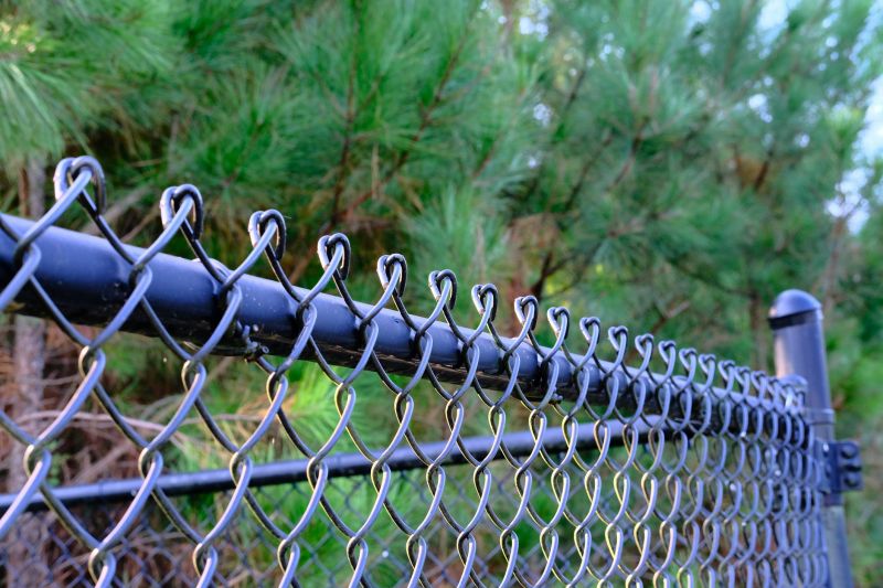 Chain Link Fence with Privacy Slats